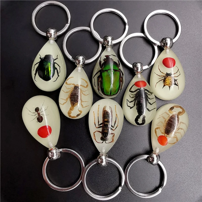 Top Trends: Fashion Amber Resin Keychain Real Insect Scorpion Ants Noctilucent Keyring Gift Wholesale Shoppable Styles