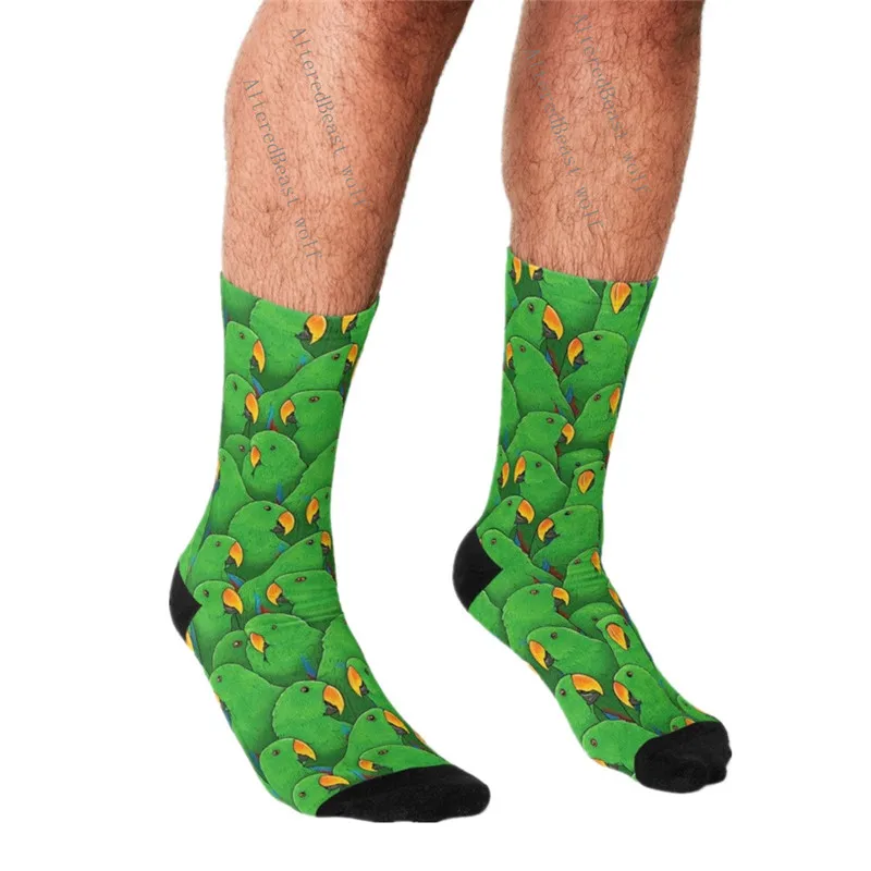 Top Trends: Men's Funny Socks Male Eclectus Parrots Socks Harajuku Men Happy Hip Hop Novelty Cute Boys Crew Casual Crazy Socks For Men Shoppable Styles