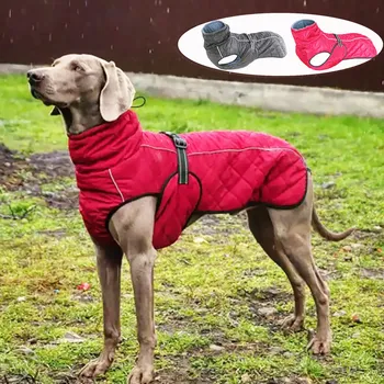 dog vests for winter