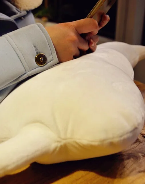 Pehmed kassikujulised diivanipadjad | kujundav pilt e-kaubamaja pildikogust