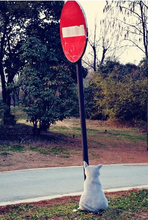 Pehmed kassikujulised diivanipadjad | kujundav pilt e-kaubamaja pildikogust