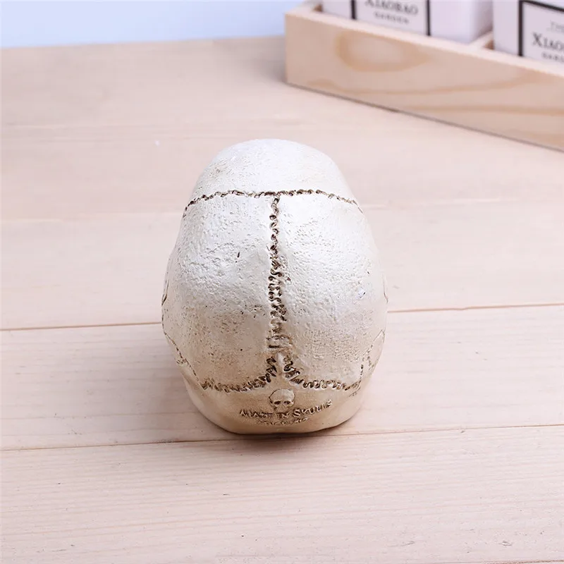 väike hele pealuu ornament puidust laual