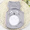 Vest-Totoro