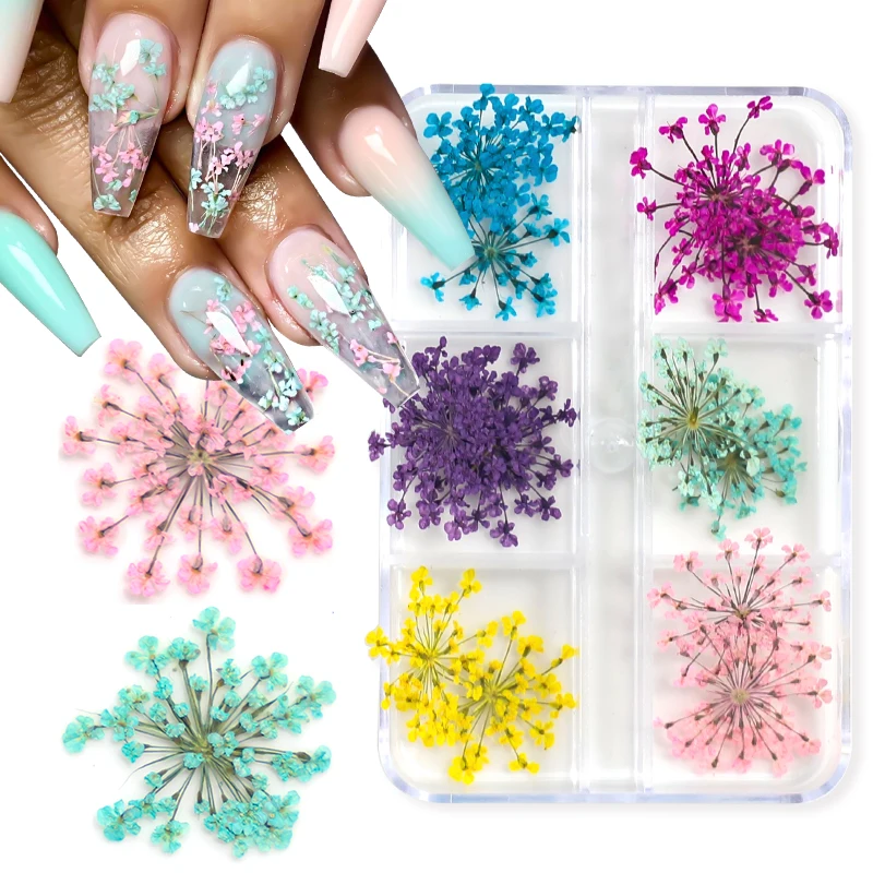 Top Trends: 12 / 18Pcs / box 3D Dried Flowers Nail Art Decorations Dry Floral Bloom Stickers DIY Manicure Charms Designs For Nails Accessories Shoppable Styles - Image 2