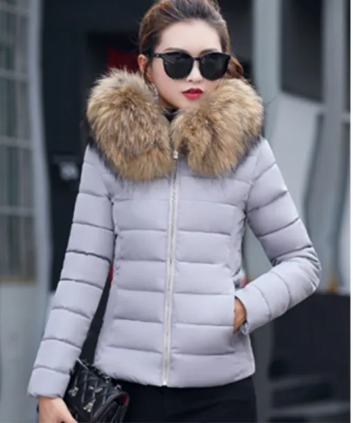 Top Trends: Women Down Jackets Winter Warm Thick Fur Collar Hooded Short Jacket Solid Fleece Coat Female Plush Cotton Slim-Fit Outerwear Shoppable Styles - Image 2