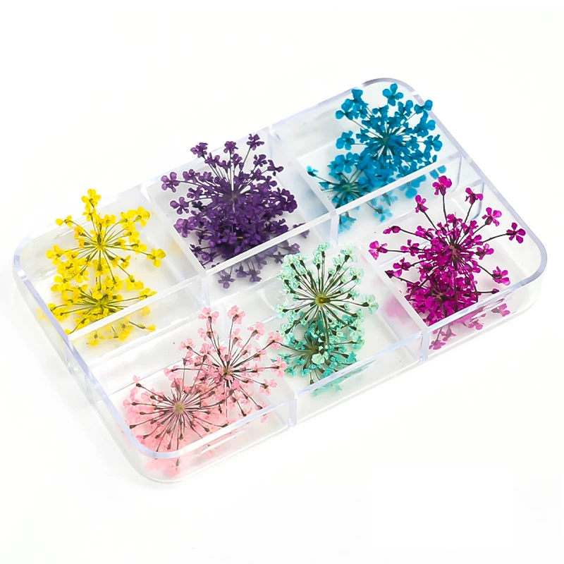 Top Trends: 12 / 18Pcs / box 3D Dried Flowers Nail Art Decorations Dry Floral Bloom Stickers DIY Manicure Charms Designs For Nails Accessories Shoppable Styles - Image 4