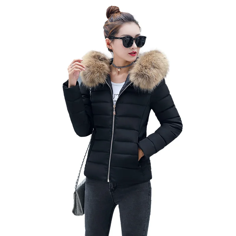 Top Trends: Women Down Jackets Winter Warm Thick Fur Collar Hooded Short Jacket Solid Fleece Coat Female Plush Cotton Slim-Fit Outerwear Shoppable Styles - Image 5