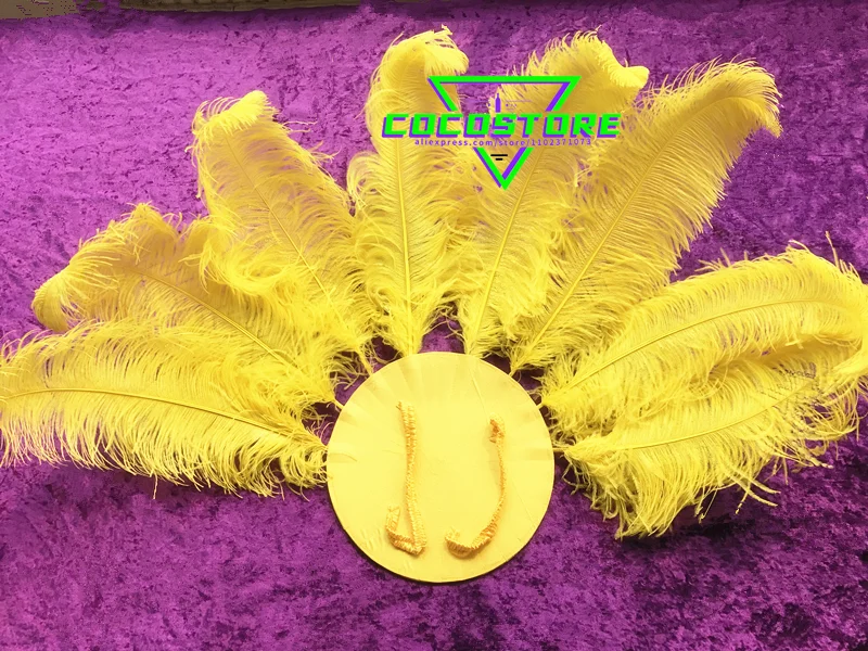 Top Trends: Samba Carnival Costume Brazilian Dancer Feathers Flower Backboard Feather Dance Costumes Opening Show Back Plate Shoppable Styles