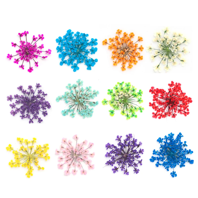 Top Trends: 12 / 18Pcs / box 3D Dried Flowers Nail Art Decorations Dry Floral Bloom Stickers DIY Manicure Charms Designs For Nails Accessories Shoppable Styles - Image 3