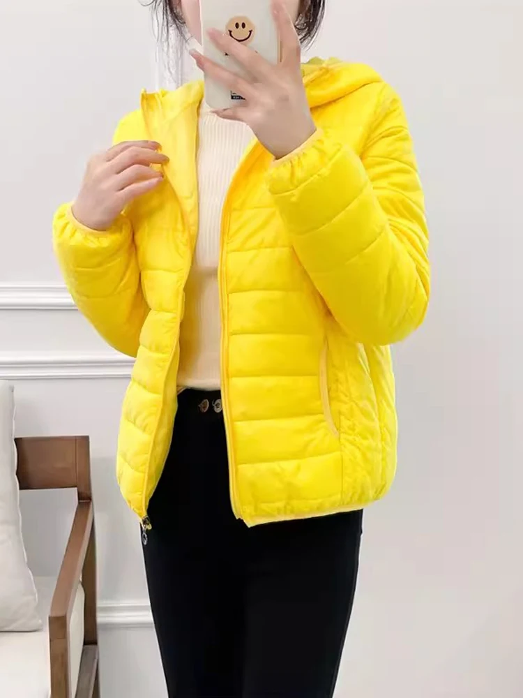 Top Trends: Minimalist Light Weight Women Down Cotton Jackets 2023 New Winter Korean Style Hooded Quilted Parkas Female Windbreaker Outwear Shoppable Styles