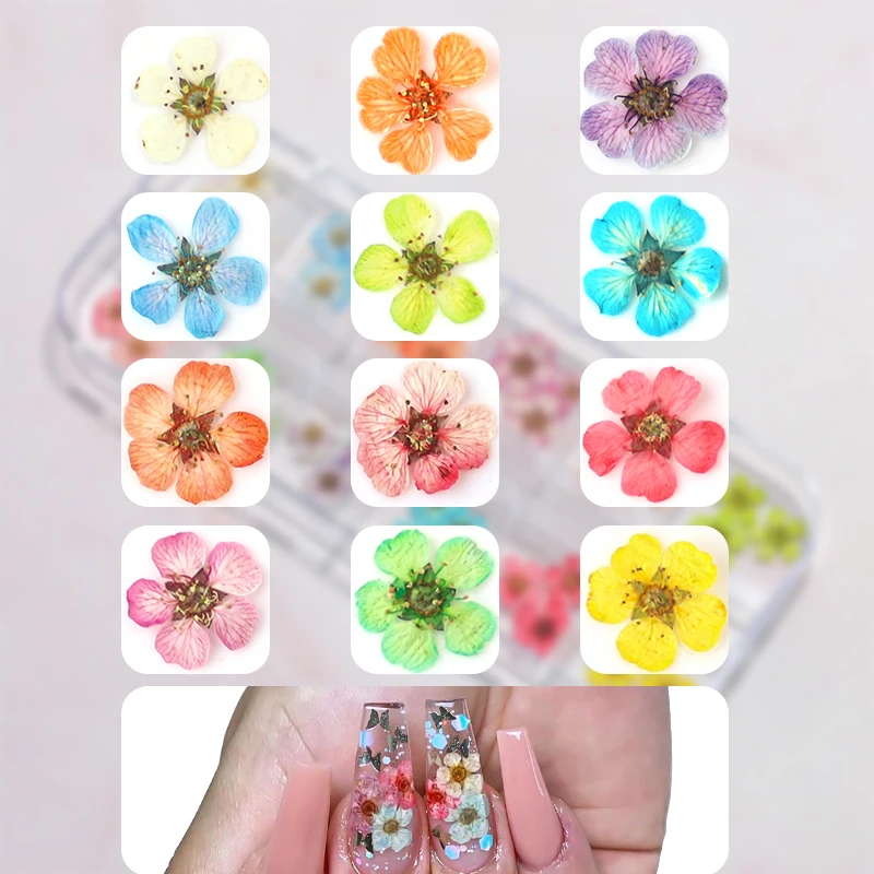 Top Trends: 12 / 18Pcs / box 3D Dried Flowers Nail Art Decorations Dry Floral Bloom Stickers DIY Manicure Charms Designs For Nails Accessories Shoppable Styles - Image 6