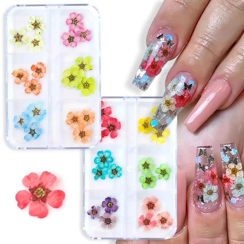 Top Trends: 12 / 18Pcs / box 3D Dried Flowers Nail Art Decorations Dry Floral Bloom Stickers DIY Manicure Charms Designs For Nails Accessories Shoppable Styles - Image 5