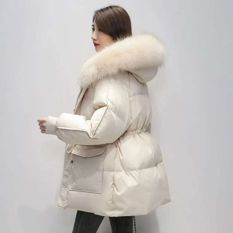 Top Trends: 2023 New Women Down Cotton Coat Winter Jacket Female Short Parkas Loose Thick Warm Outwear Hooded Fur Collar Versatile Overcoat Shoppable Styles