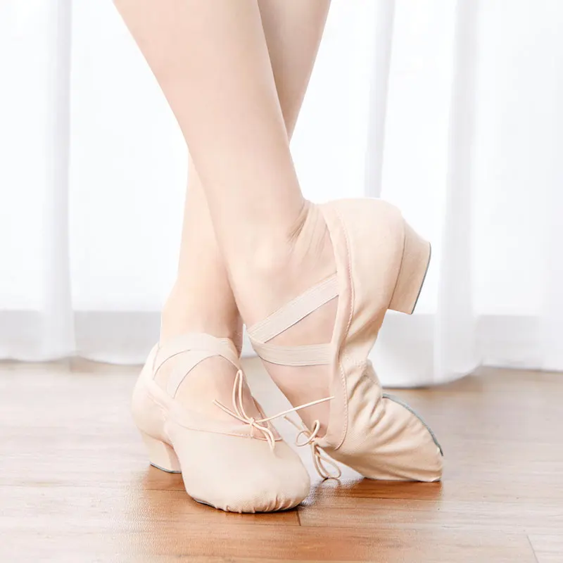 Top Trends: Ballet Shoes Teacher Dance Shoes Low Heels Shoes Soft Sole Dancing Shoes Professional Ballerina Canvas Ballet Slippers For Women Shoppable Styles