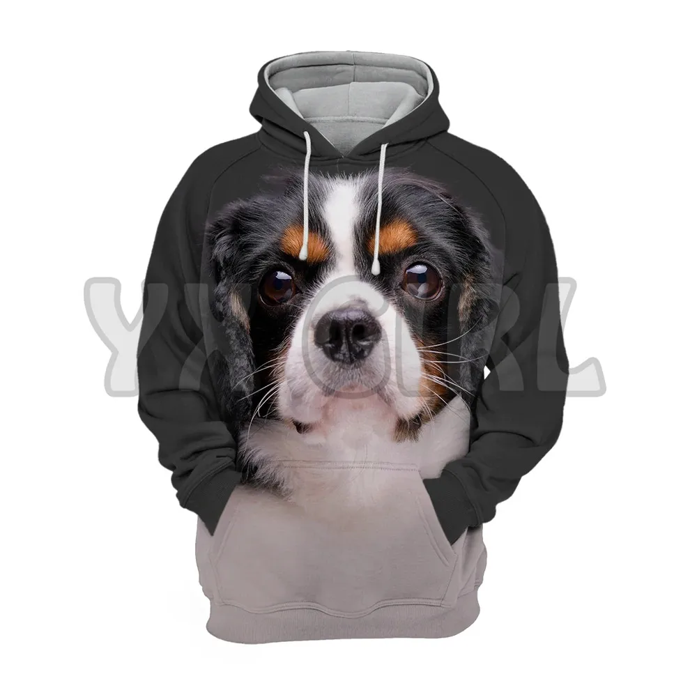 Top Trends: Animals Dogs Cavalier King Charles Spaniel Lovely 3D Printed Hoodies Unisex Pullovers Funny Dog Hoodie Casual Street Tracksuit Shoppable Styles