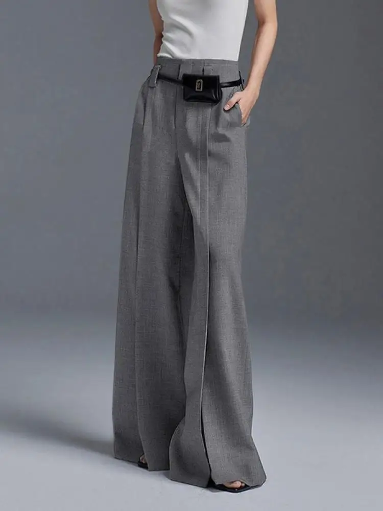 Top Trends: Lemongor Urban Office Lady Fashion Split-Front Pleated Wide Leg Suit Pants Spring Autumn High-Waisted Casual Trousers For Women Shoppable Styles - Image 2