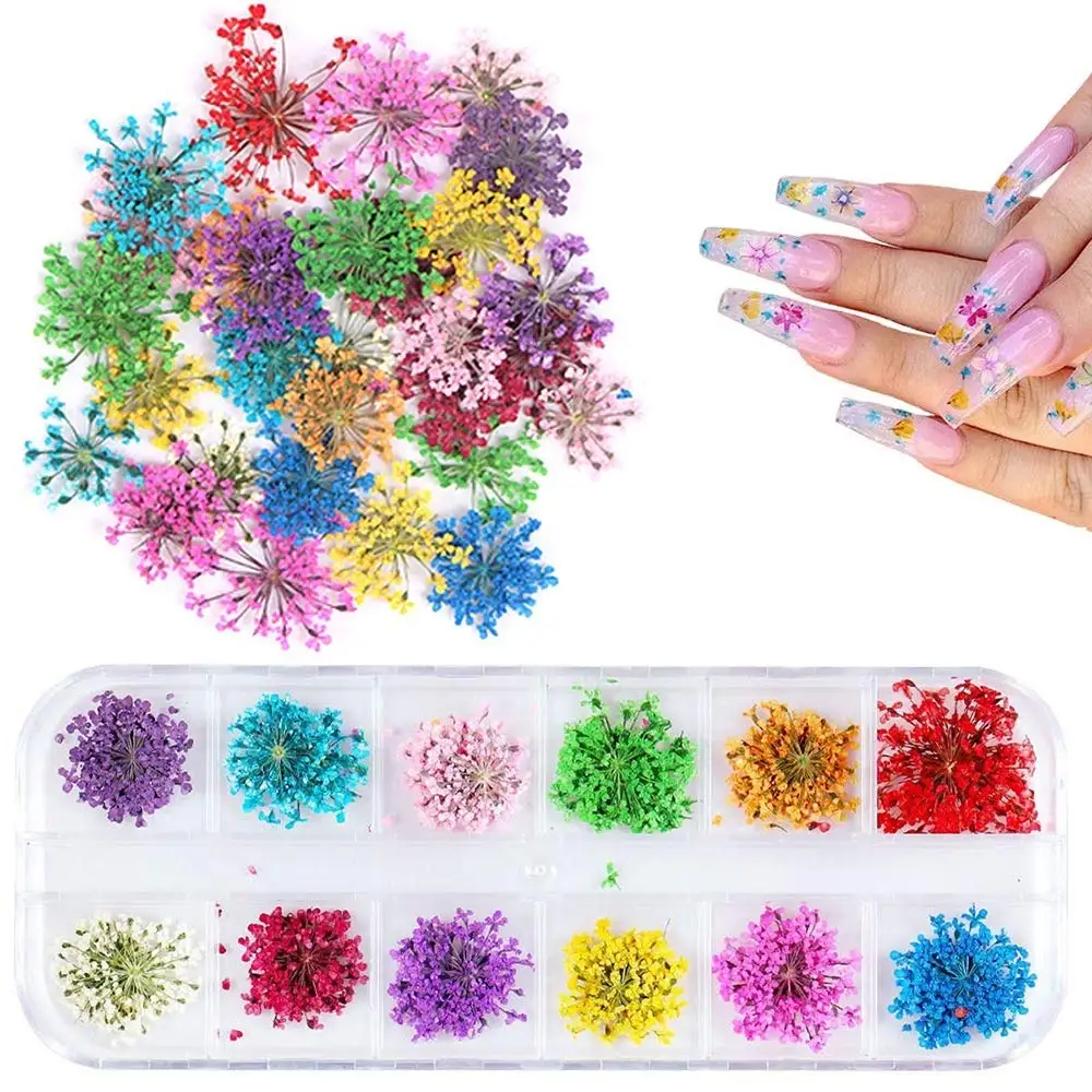 Top Trends: 1 Box 24pcs Dried Flowers For Nail Art 12 Colors Dry Flowers Mini Real Natural Flower Nail 3D Applique Nail Decoration Sticker Shoppable Styles