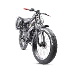 Custom 26inch Fat Snow tire ebike 1500W 48V 70ah  Large capacity  Li-ion