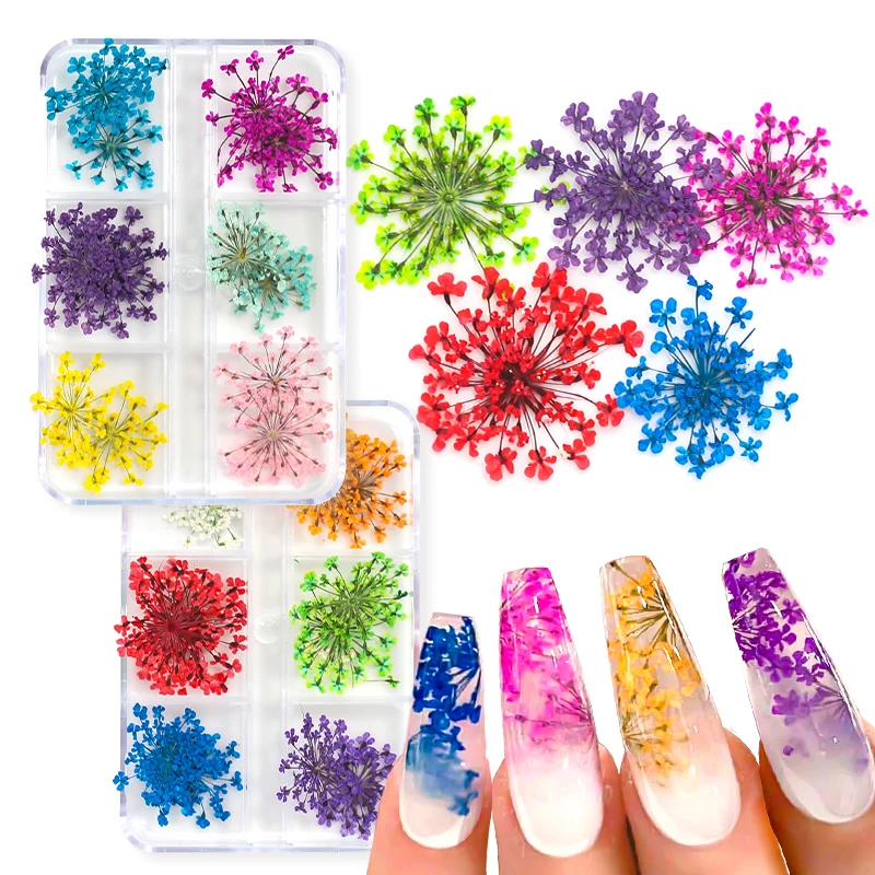 Top Trends: 12 / 18Pcs / box 3D Dried Flowers Nail Art Decorations Dry Floral Bloom Stickers DIY Manicure Charms Designs For Nails Accessories Shoppable Styles