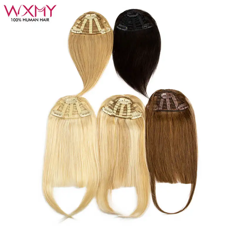 Top Trends: Straight Remy Human Hair Bangs 3 Clips In Hair Extensions Human Hair Muti-Color 20g Small Fringe Bangs Natural Look Hair Piece Shoppable Styles